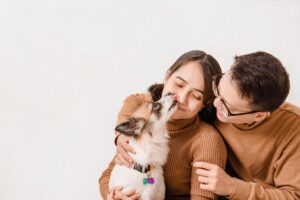 【2026年最新】ペットとの暮らしを豊かに！おすすめのペットショップ・ペット用品ECサイトまとめ